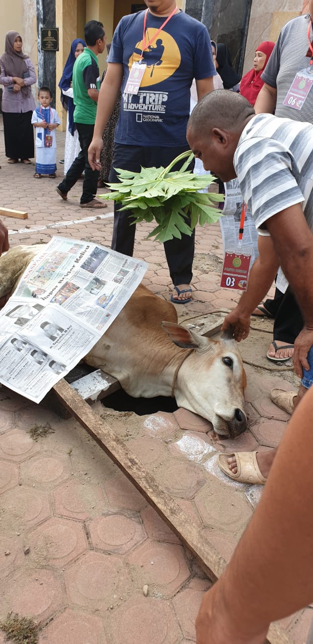 WhatsApp Image 2019 08 13 at 11.40.21